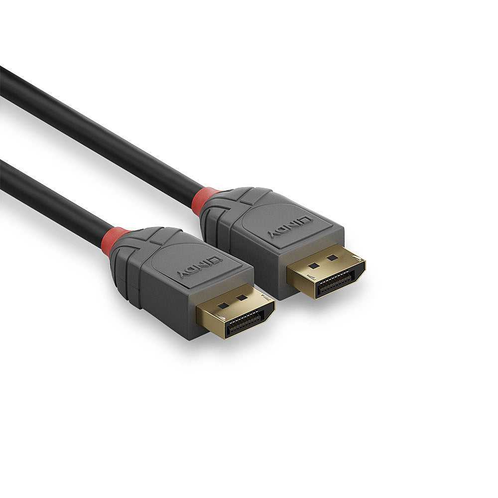 Lindy DP–DP DisplayPort-Kabel – 5 m, schwarz