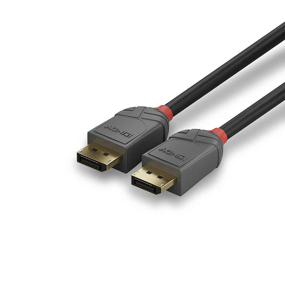 Lindy DisplayPort DP–DP Kabel – 0,5 m, schwarz
