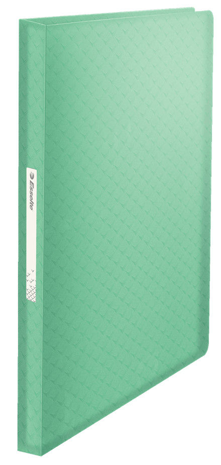 Esselte Colour'ICE Sichtbuch, für A4, 80 Blatt – Polypropylen (PP) – Grün