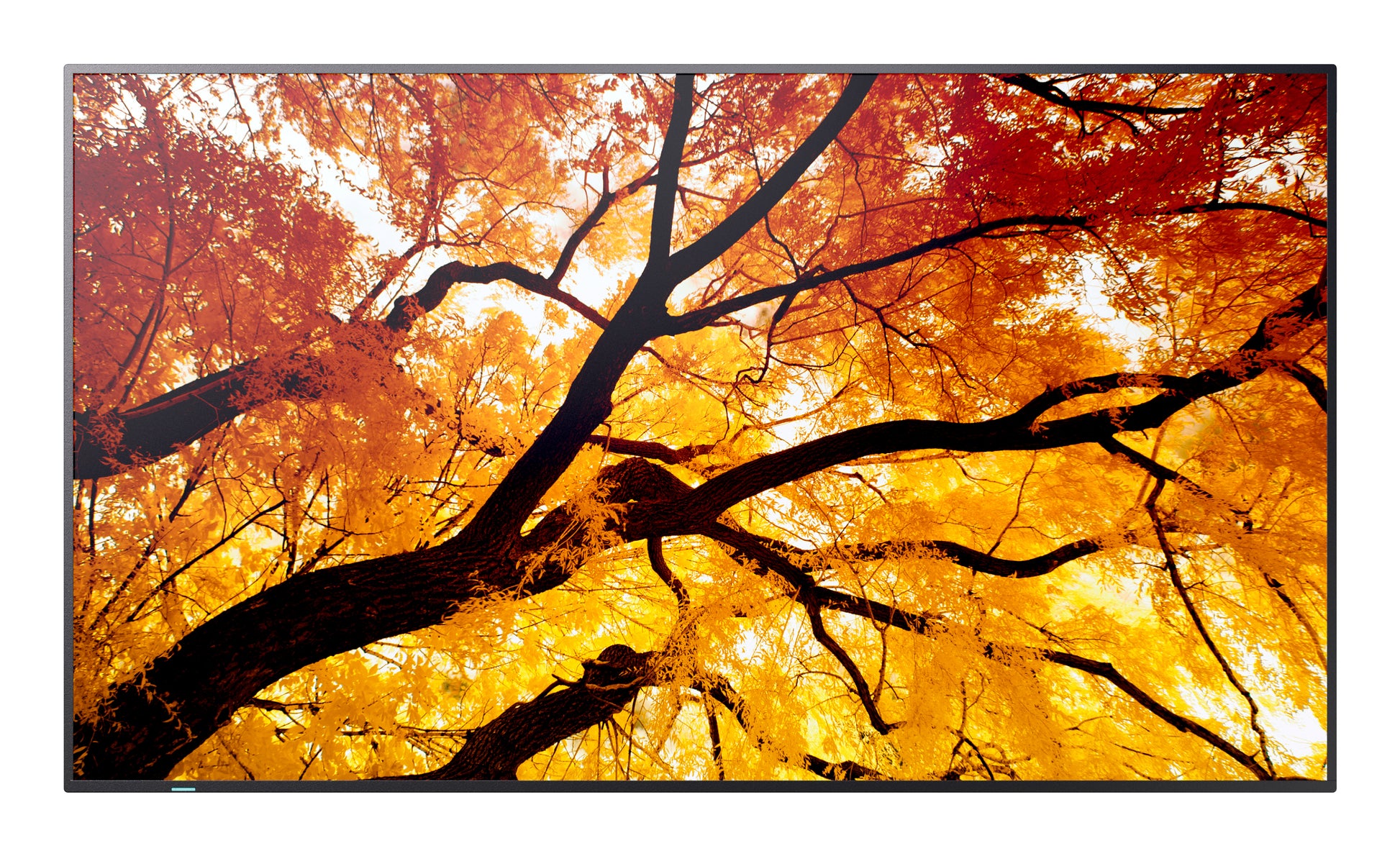 Sharp MultiSync M502 – 50" 4K Ultra HD Signage-Display, 550 cd/m², 24/7, Schwarz