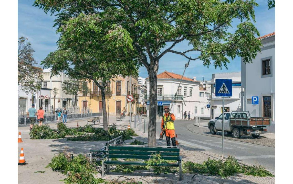 Husqvarna 530iPT5 Hochentaster – 36 V – Schwertlänge 300 mm – Stangenlänge 4 m – Solo – BLi-X 36 V