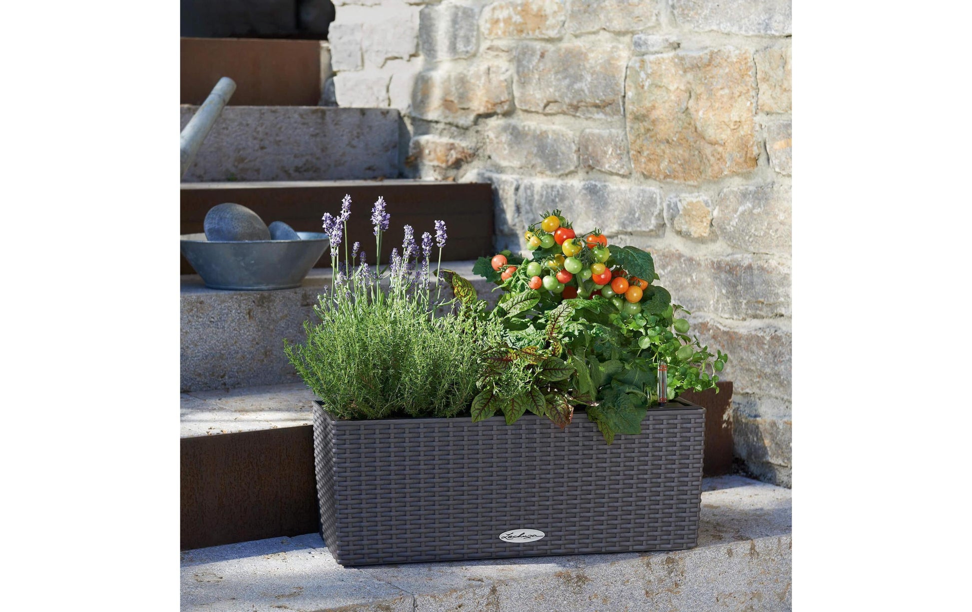 LECHUZA Pflanzgefäss – 50 × 19 × 19 cm – Kunststoff, Anthrazit