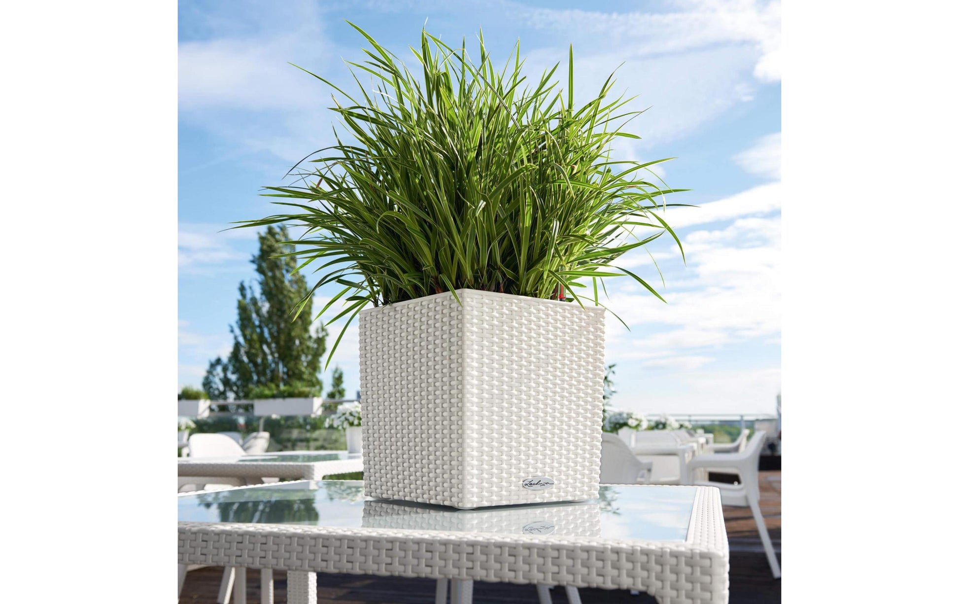 LECHUZA Cube Cottage Blumentopf – 30 × 30 × 30 cm, 12 l – Polypropylen, weiss