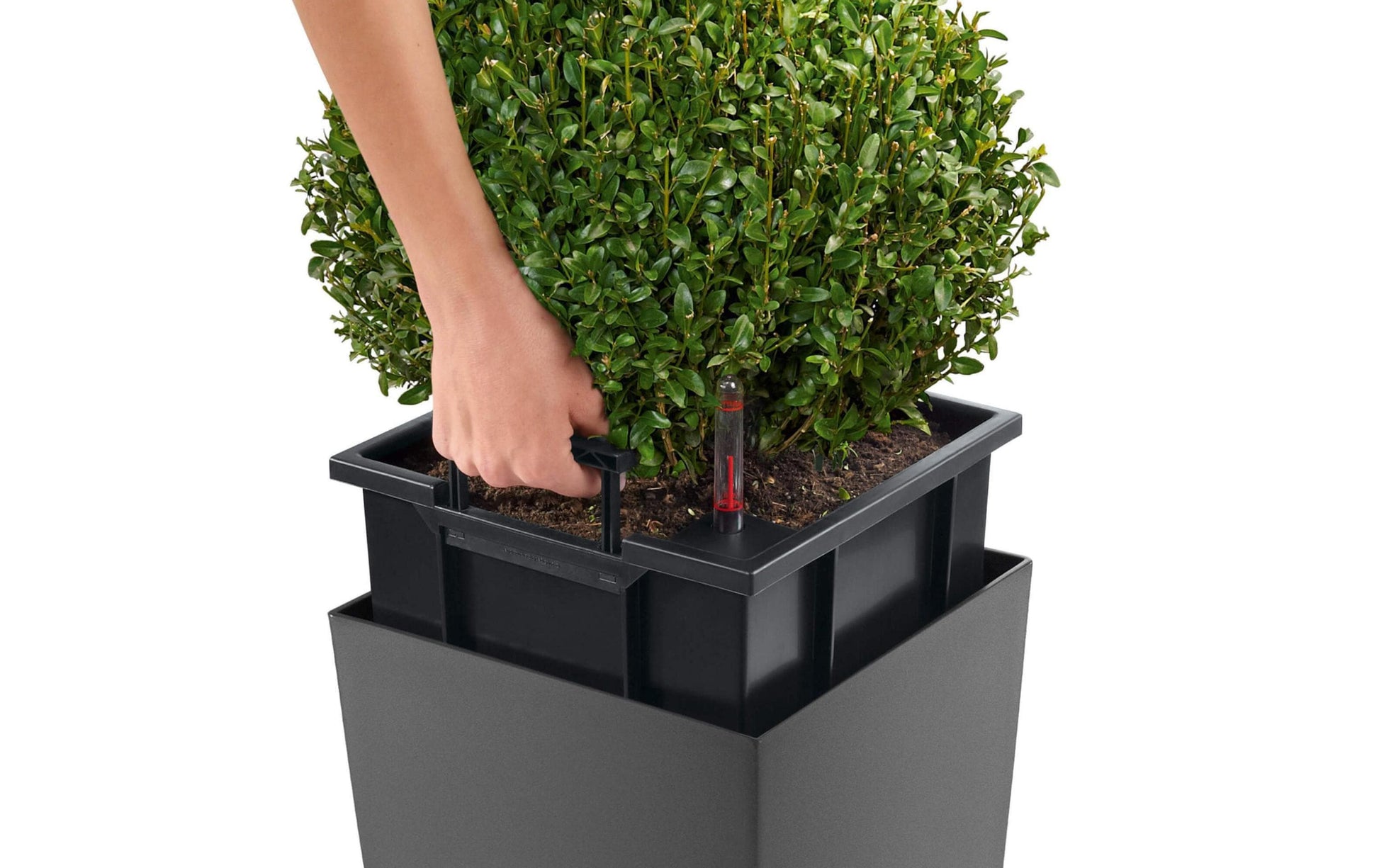 LECHUZA Cubico Premium 30 Topfpflanzer – 14 l – Polycarbonat & Polypropylen, silber
