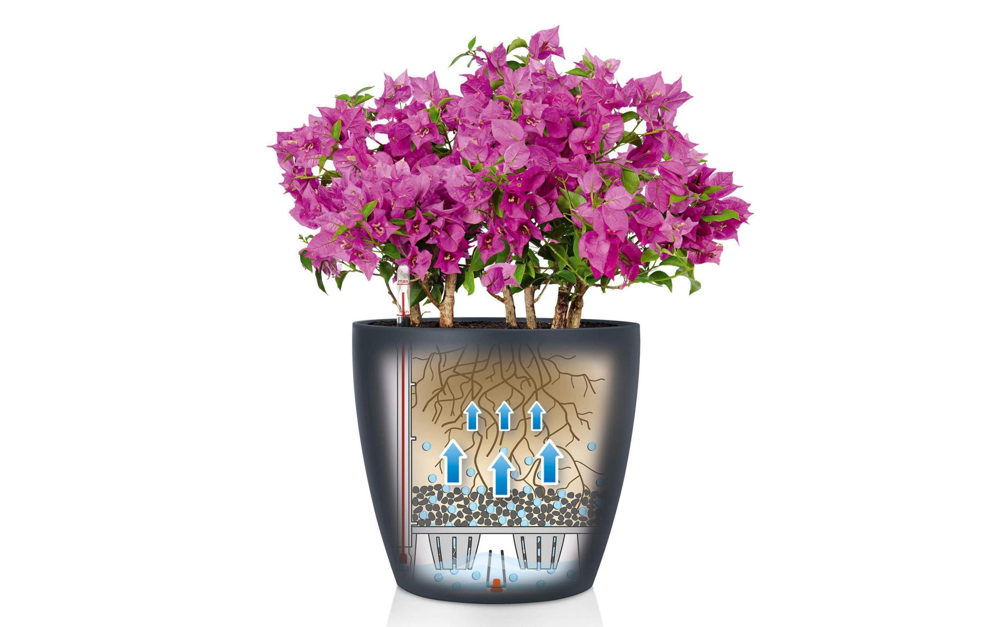 Lechuza CLASSICO Color 43 Pflanzentopf – Ø 42 × 39,5 cm – Polycarbonat & Polypropylen, weiss