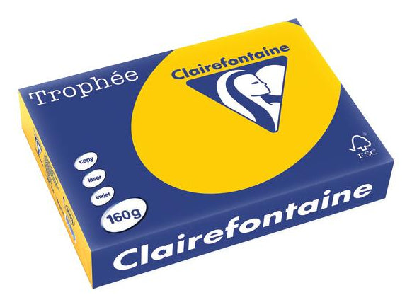 Clairefontaine Kopierpapier 2013 A4, 160 g/m² 2013 für Inkjet/Laser/Kopierer 2013 FSC, EU Ecolabel 2013 25