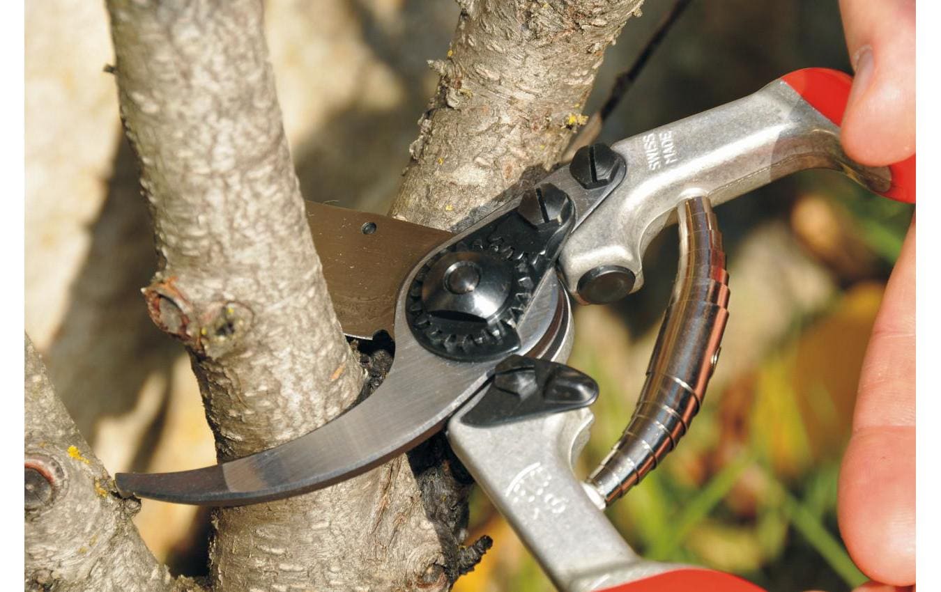 Felco 13 – Gartenschere Schnittbreite 30 mm, Aluminiumgriff, Amboss, Rot