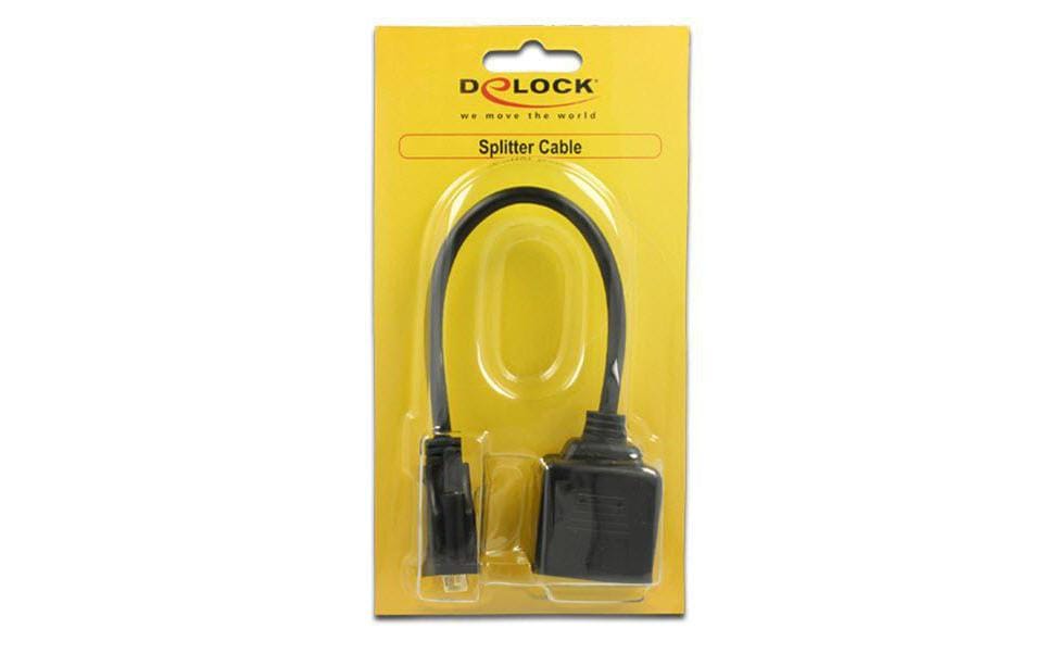 DeLOCK Monitorsplitter DVI-D zu 2× HDMI – Duallink, passiv, 0,2 m, Schwarz