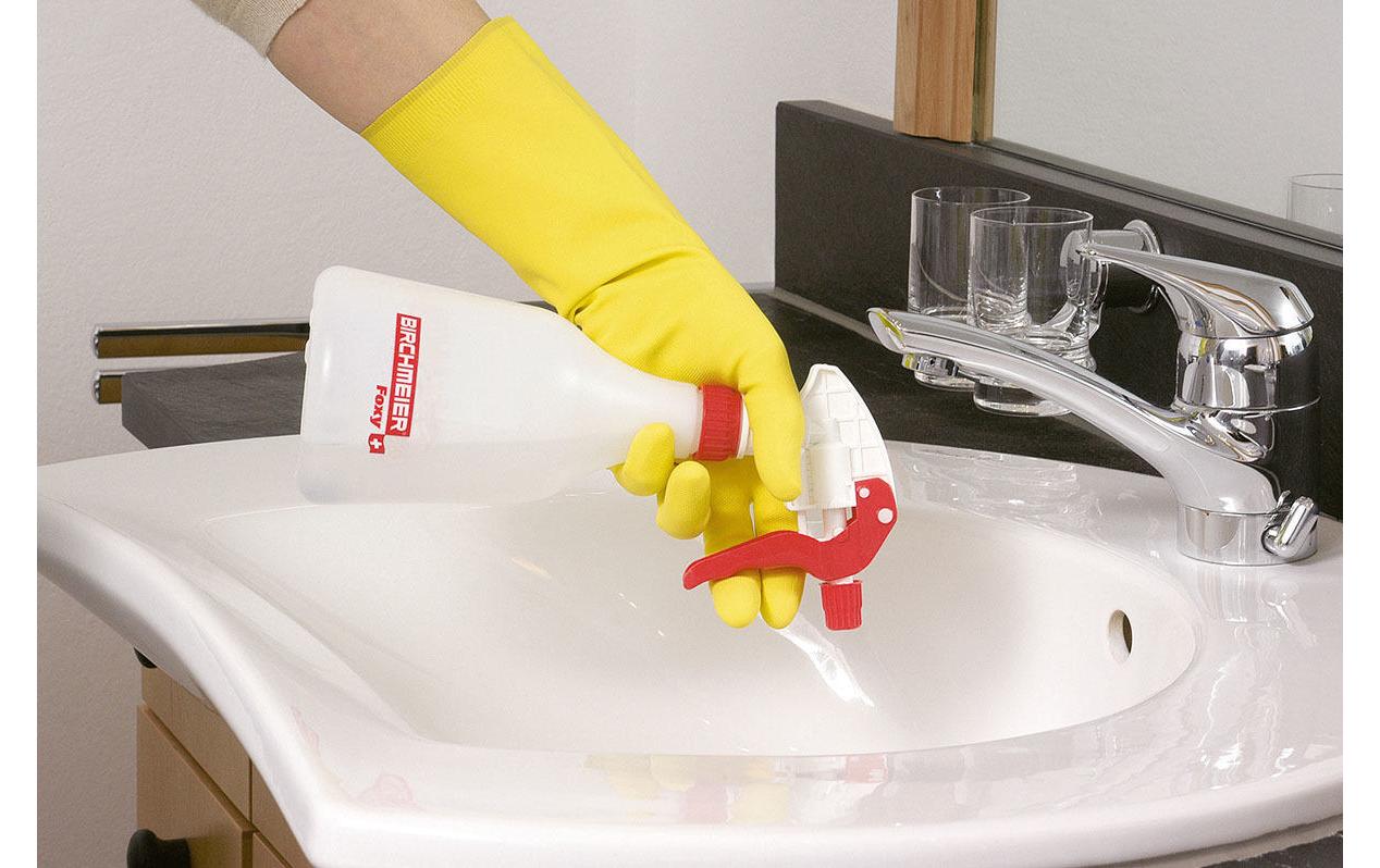 Birchmeier Handsprühgerät Foxy – 0,5 l, max. Arbeitsdruck 15 bar, Kunststoff, transparent, rot, weiss