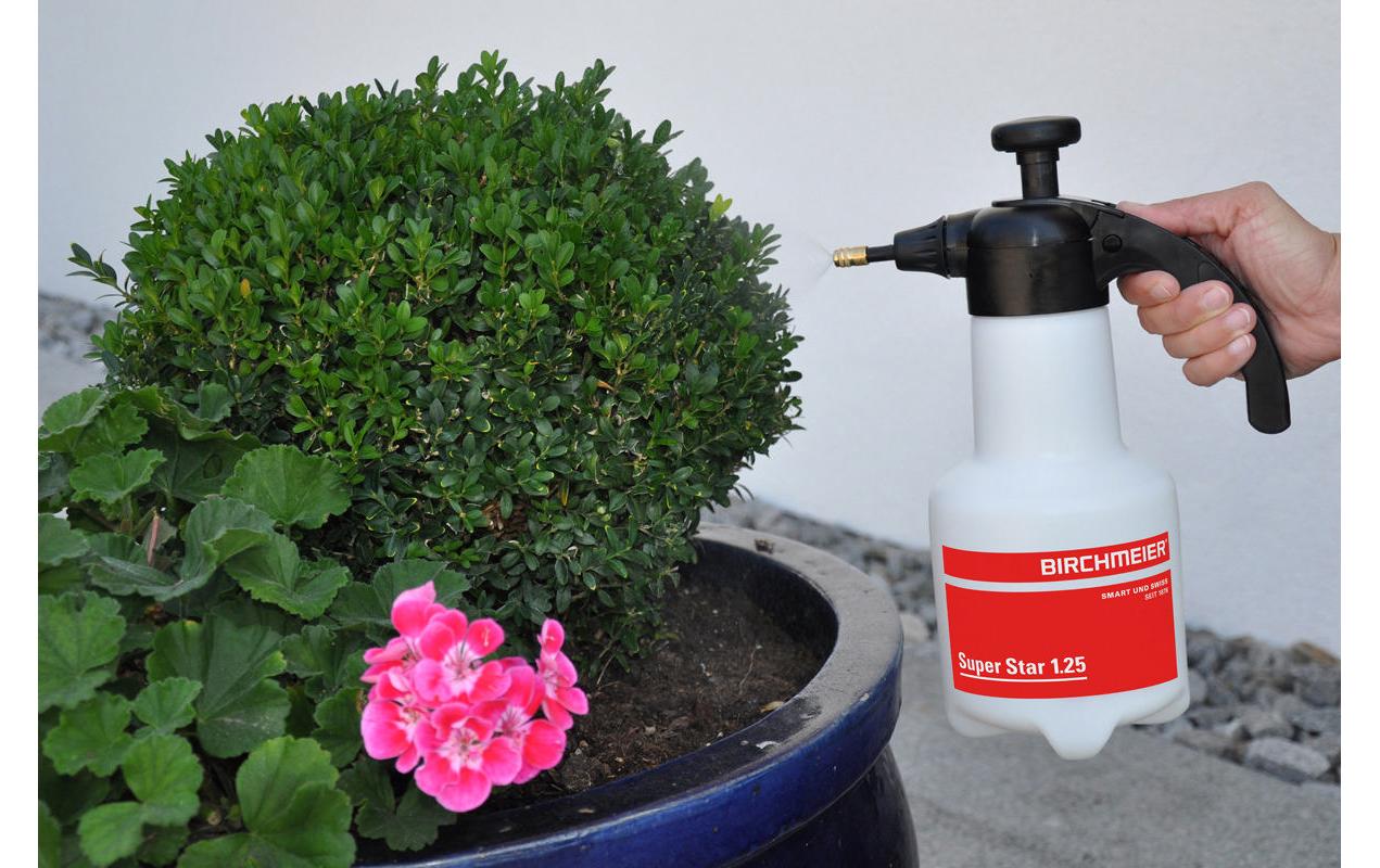 Birchmeier Drucksprüher Super Star – 1,25 l – Kunststoff, Messing, Transparent