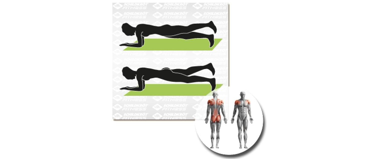 Schildkröt Fitness Bodenmatte – Grün, Dicke 1,5 cm