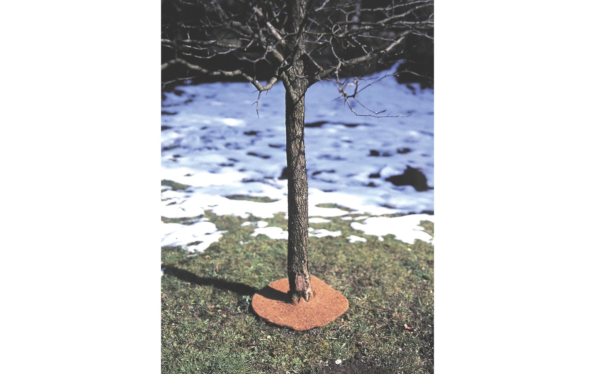 Windhager Bodenmatte – Braun, Kokos, Dicke 1,0 cm