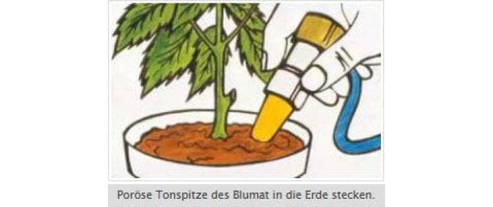 Blumat Sprühstab – für 0,25–2,0 L Flaschen – Kunststoff – Grün – 3er-Pack