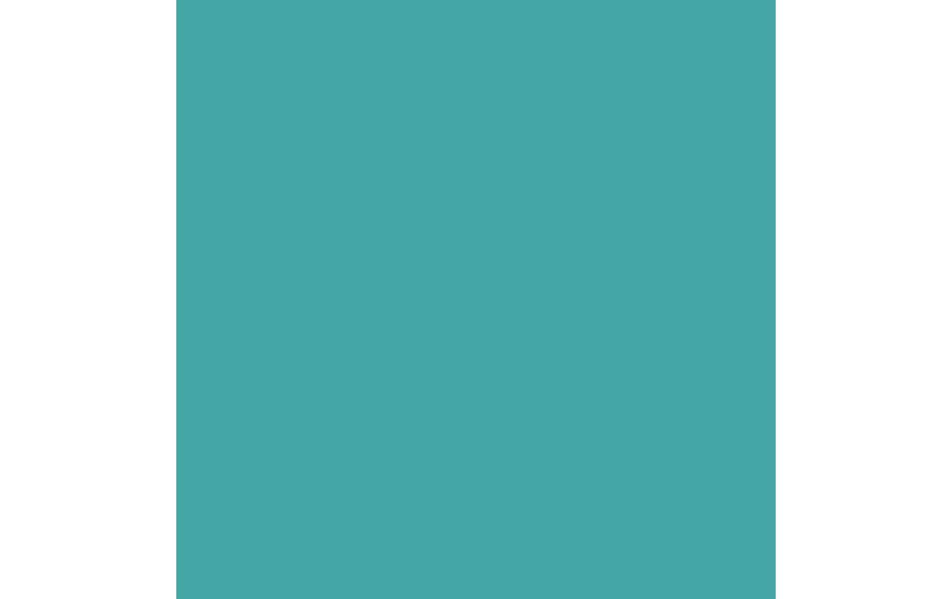 Royal Talens Amsterdam – Acryl Standard – Acrylfarbe – türkisgrün, 500 ml