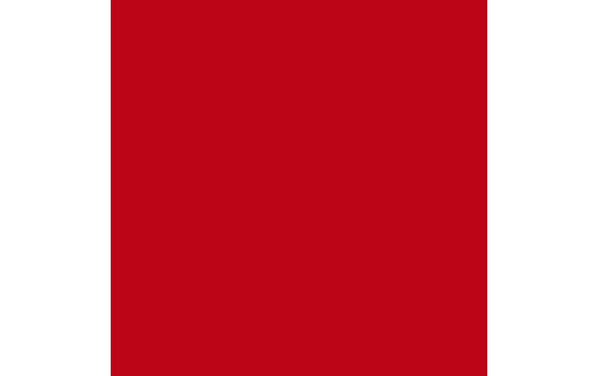 Royal Talens Amsterdam – Acrylic Standard – Acrylfarbe – Pyrrolrot, 120 ml