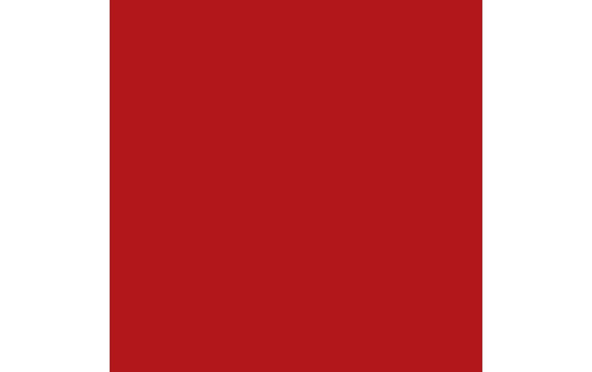 Royal Talens Amsterdam – Acrylic Standard – Acrylfarbe – Dunkel Naphtolrot, 120 ml