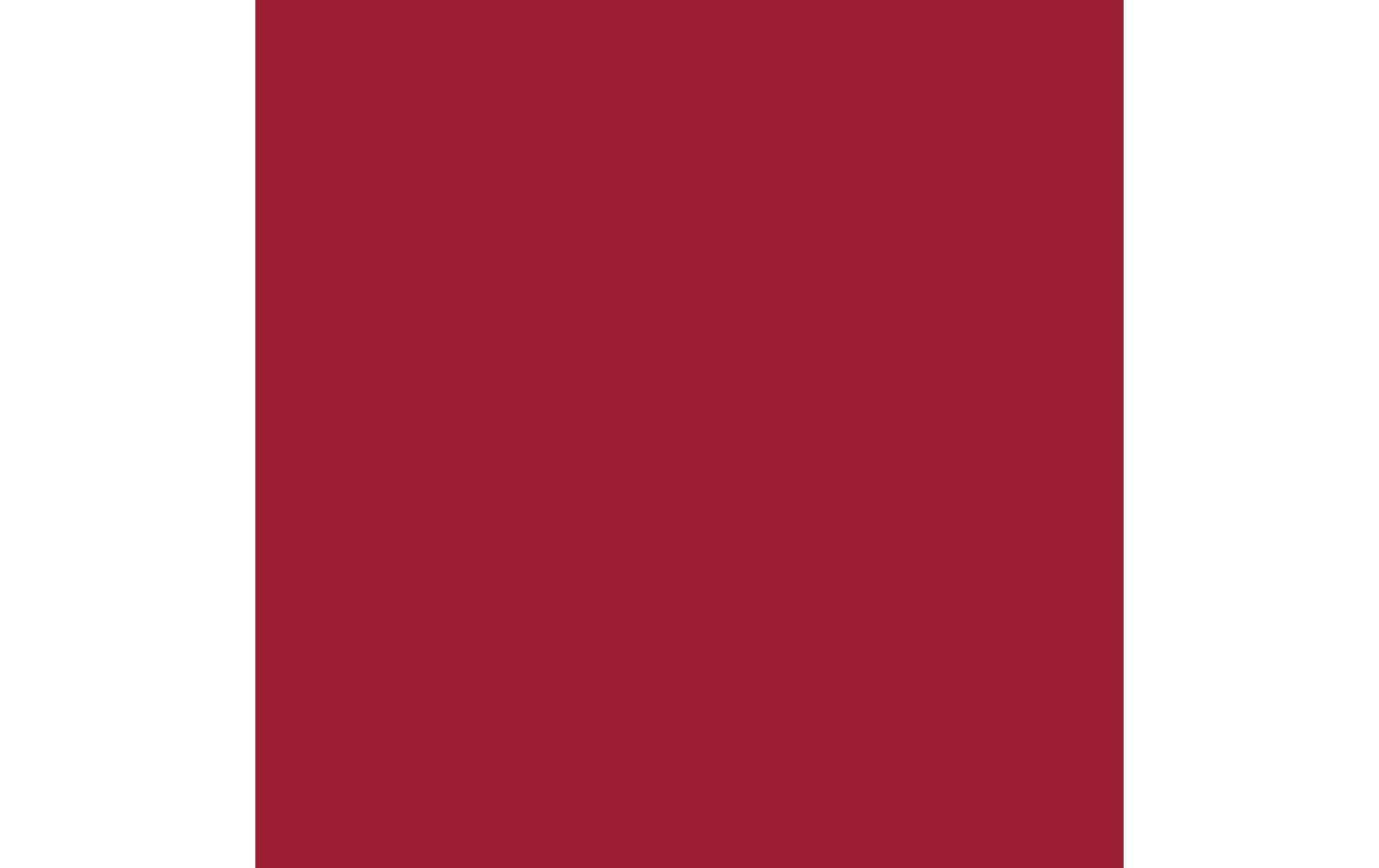 Royal Talens Amsterdam – Acrylic Standard – Acrylfarbe – Karmin, 500 ml