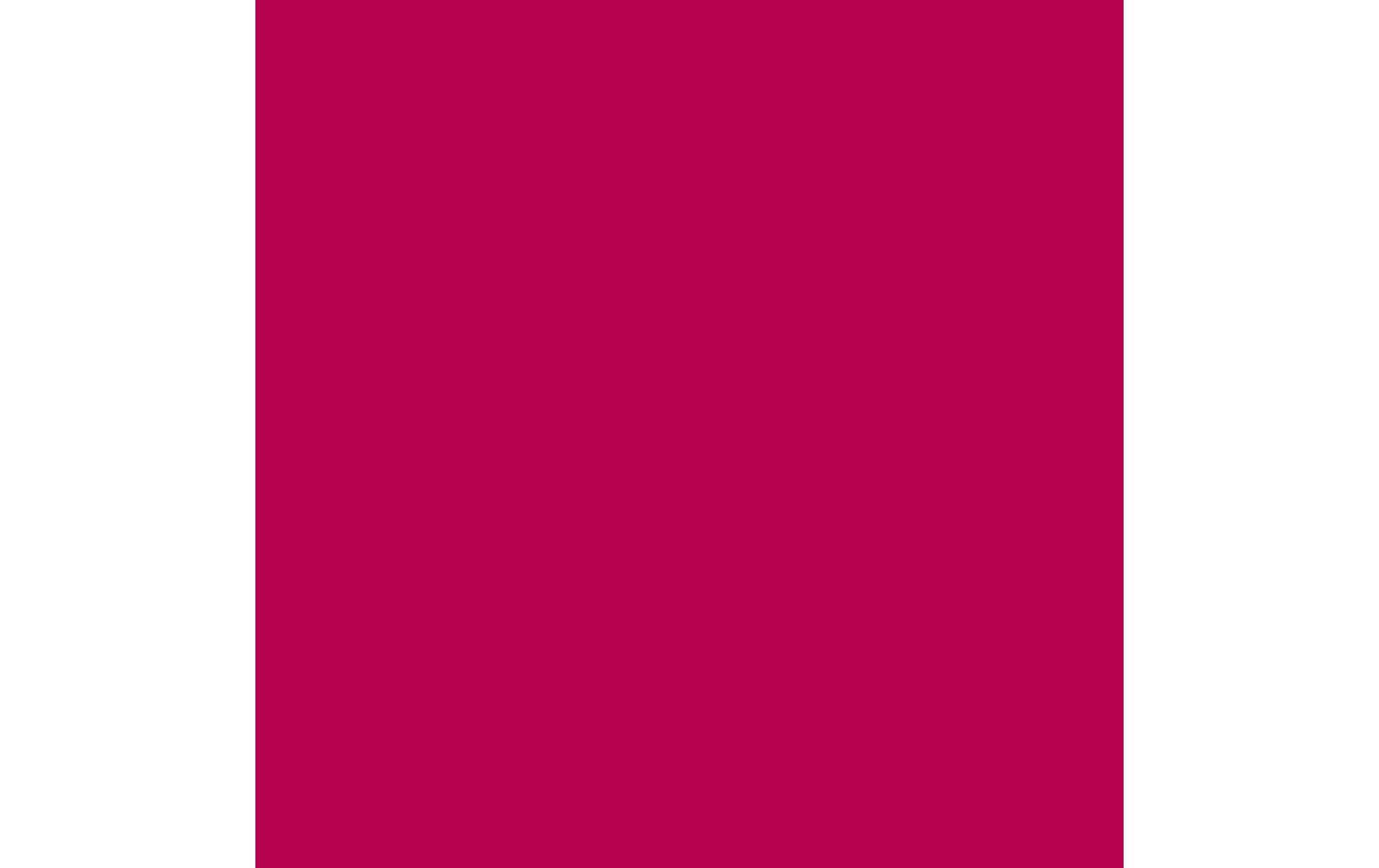 Royal Talens Amsterdam – Acrylic Standard – Acrylfarbe – Primärmagenta, 500 ml