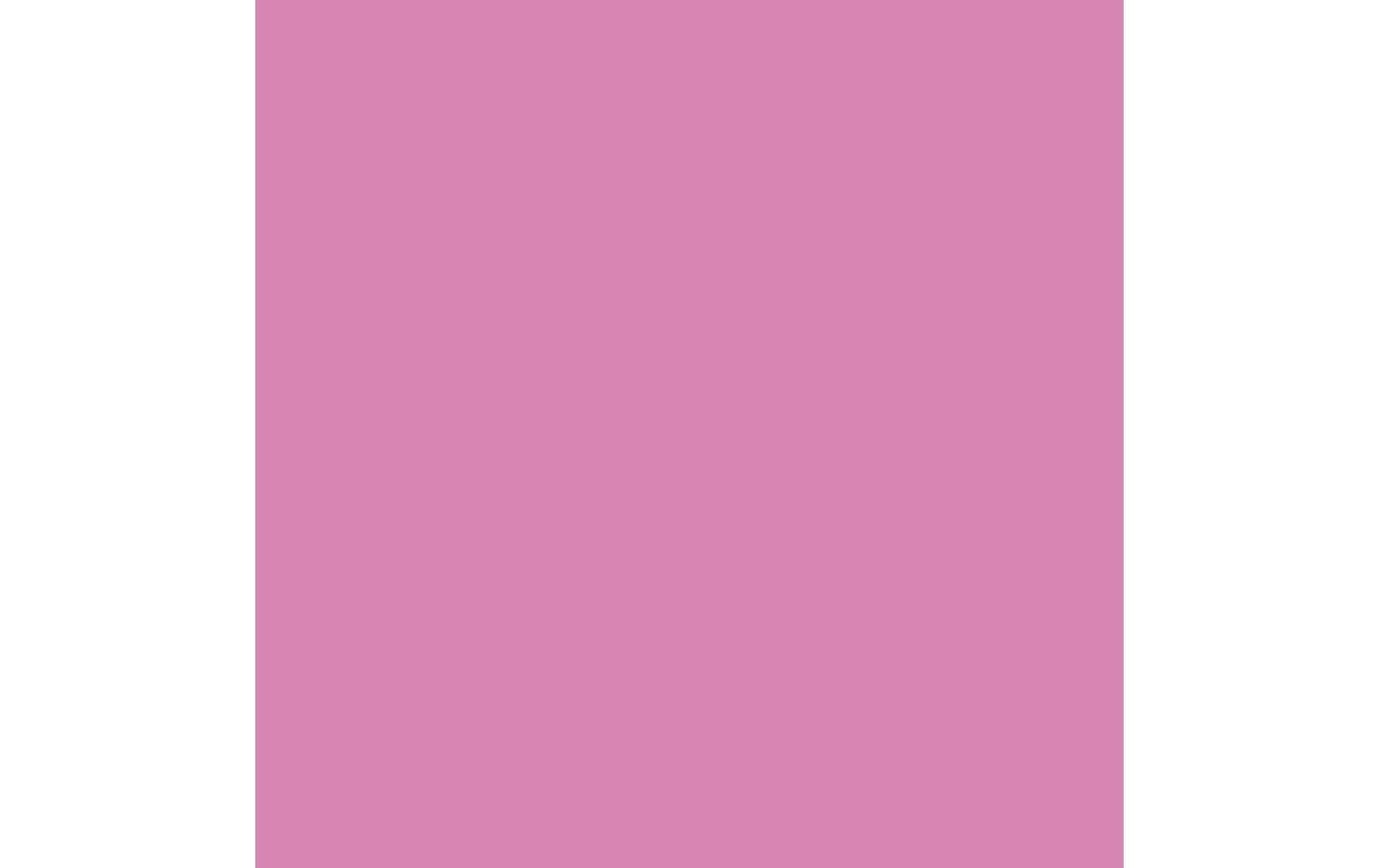 Royal Talens Amsterdam – Acrylic Standard – Acrylfarbe – Hellchinacridonrosa, 120 ml