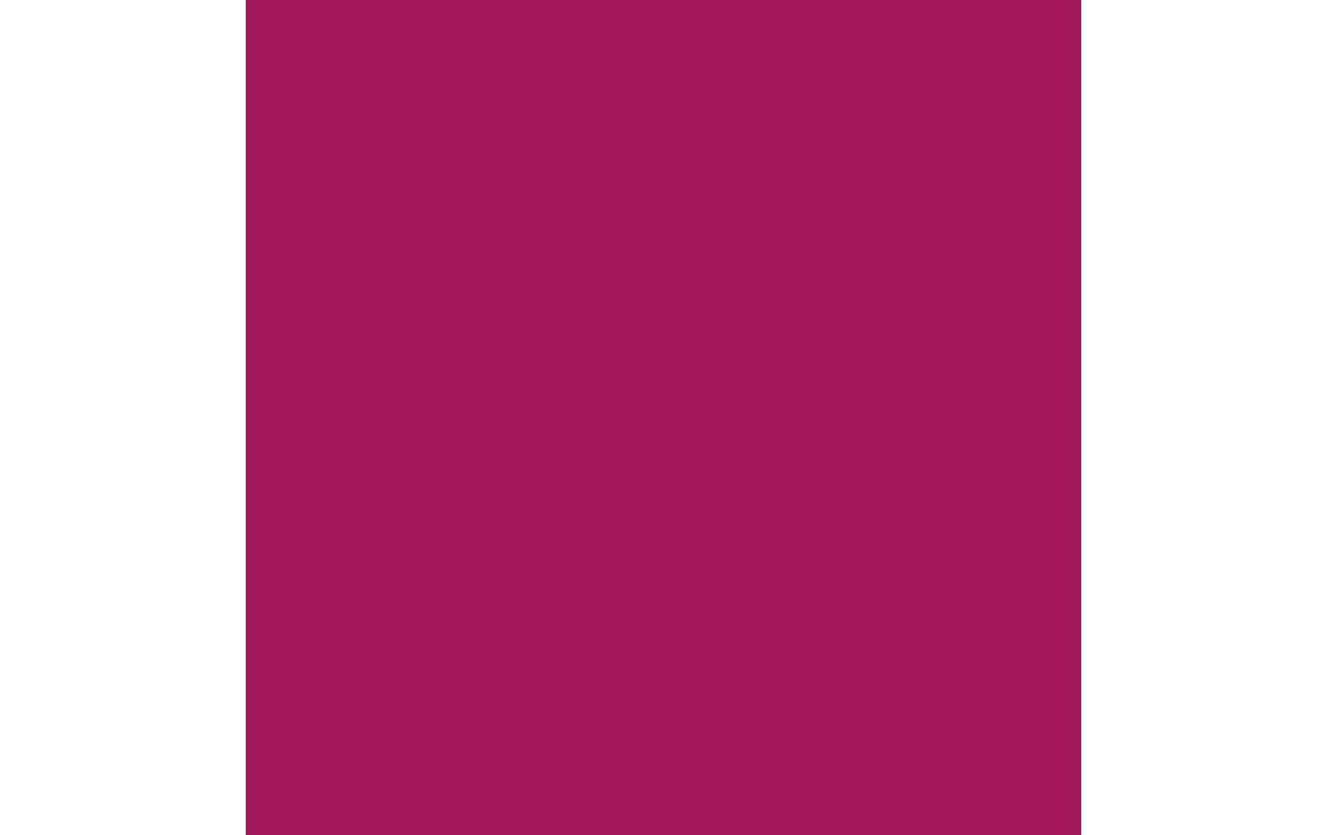 Royal Talens Amsterdam – Acrylic Standard – Acrylfarbe – Permanent Rot Violett, 120 ml
