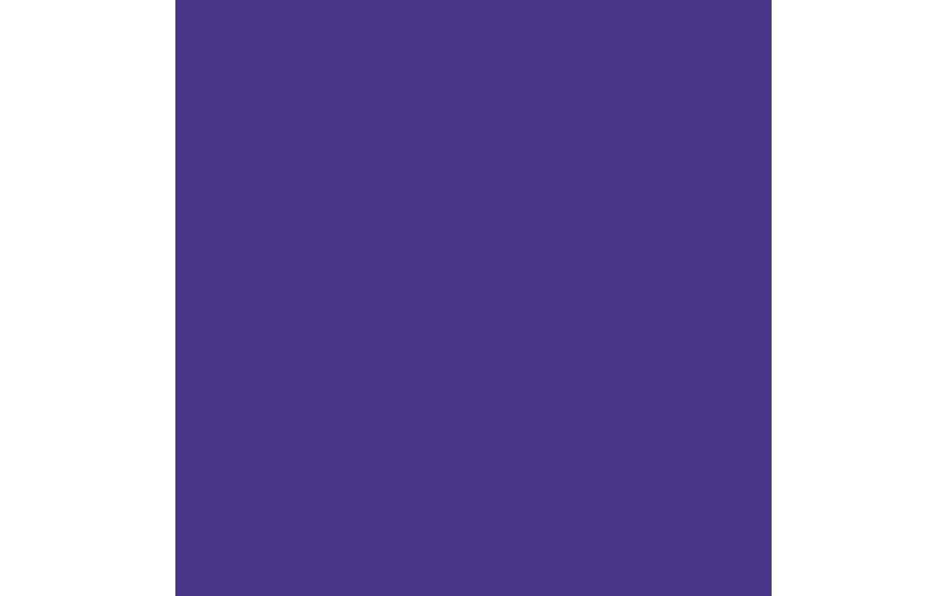Royal Talens Amsterdam – Acrylic Standard – Acrylfarbe – Ultramarin Violett, 500 ml