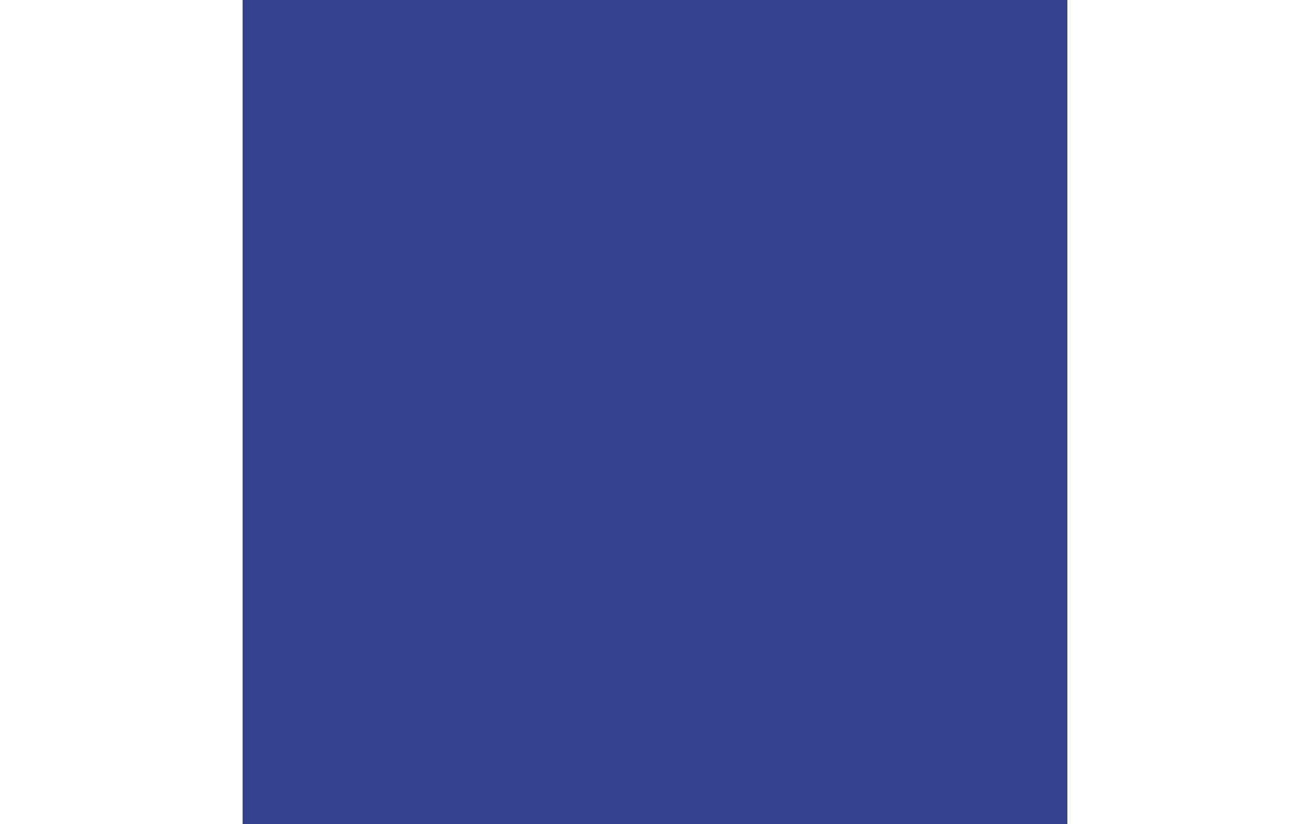 Royal Talens Amsterdam – Acrylic Standard – Acrylfarbe – Ultramarin, 500 ml