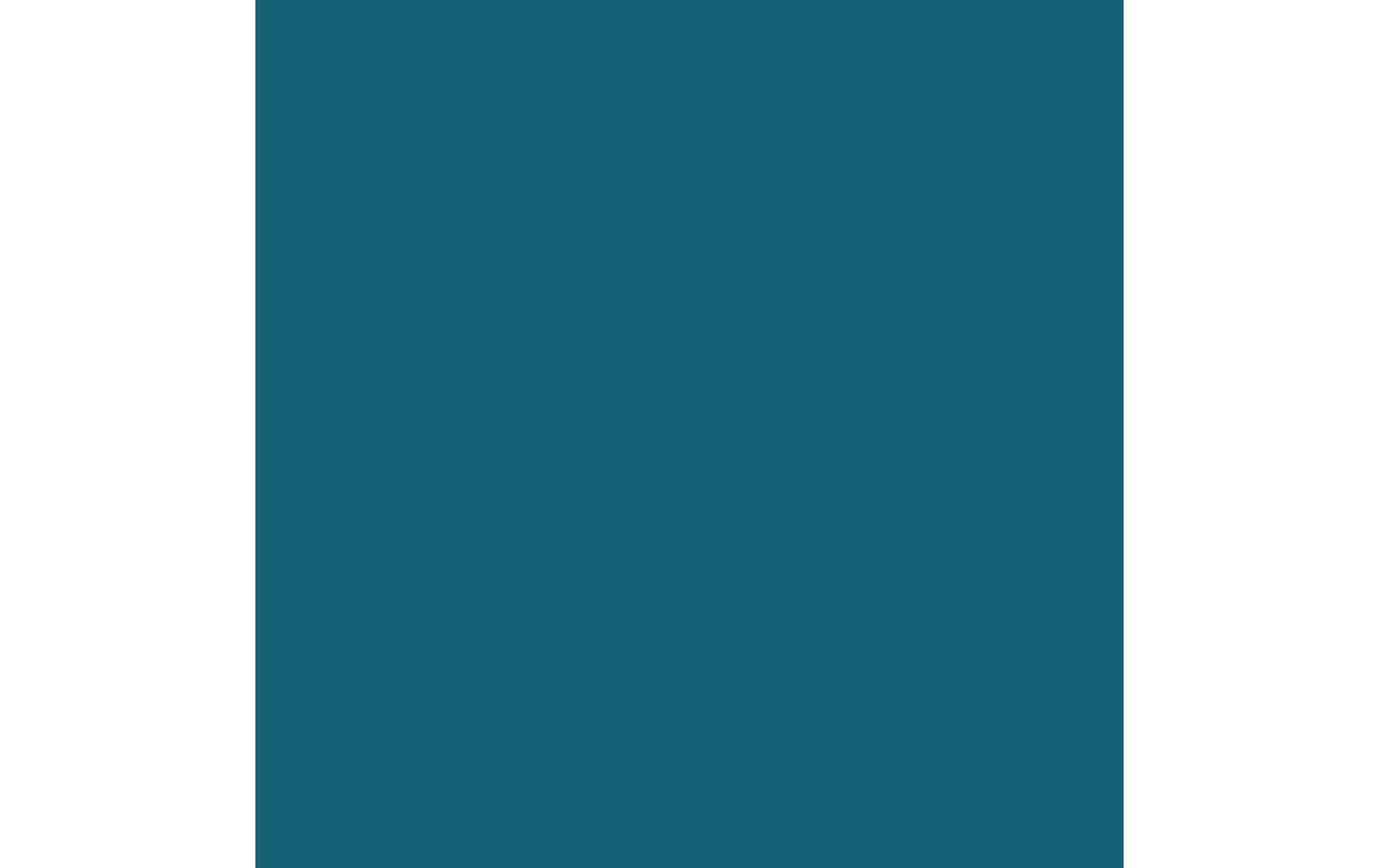 Royal Talens Amsterdam – Acrylic Standard – Acrylfarbe – Grünblau, 120 ml