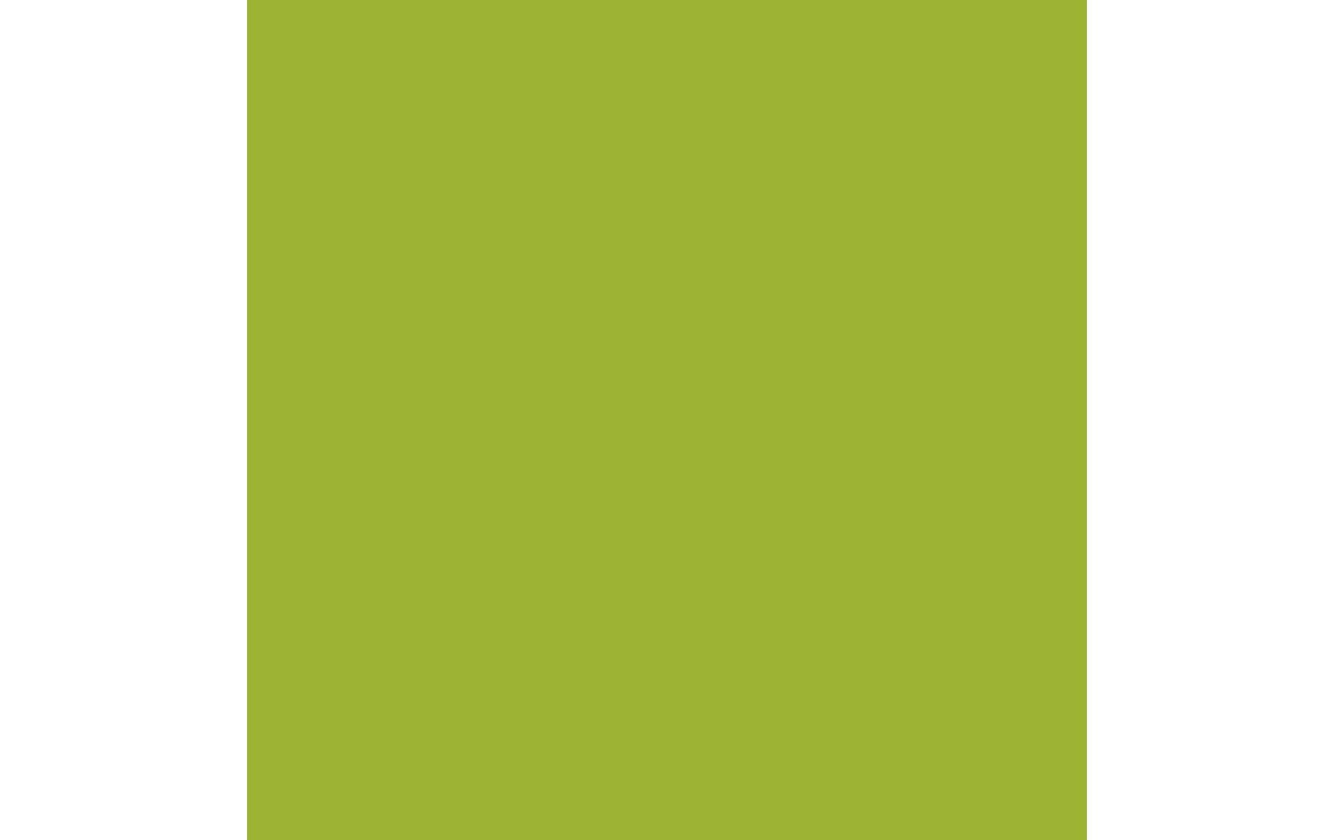 Royal Talens Amsterdam – Acrylic Standard – Acrylfarbe – Gelbgrün, 120 ml
