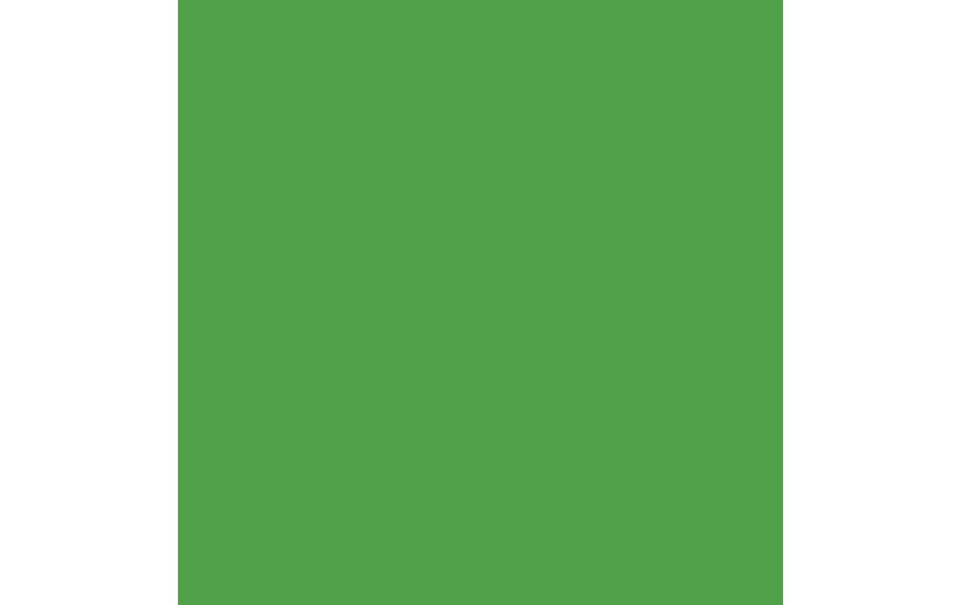 Royal Talens AMSTERDAM Standard Acrylfarbe – Brillantgrün – 500 ml