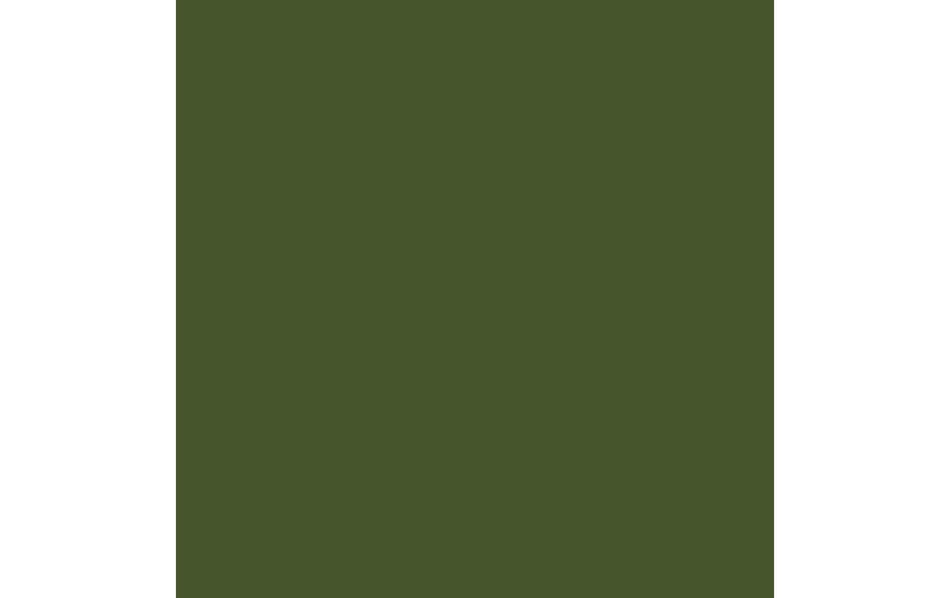 Royal Talens Amsterdam – Acrylic Standard – Acrylfarbe – Dunkelolivgrün, 120 ml