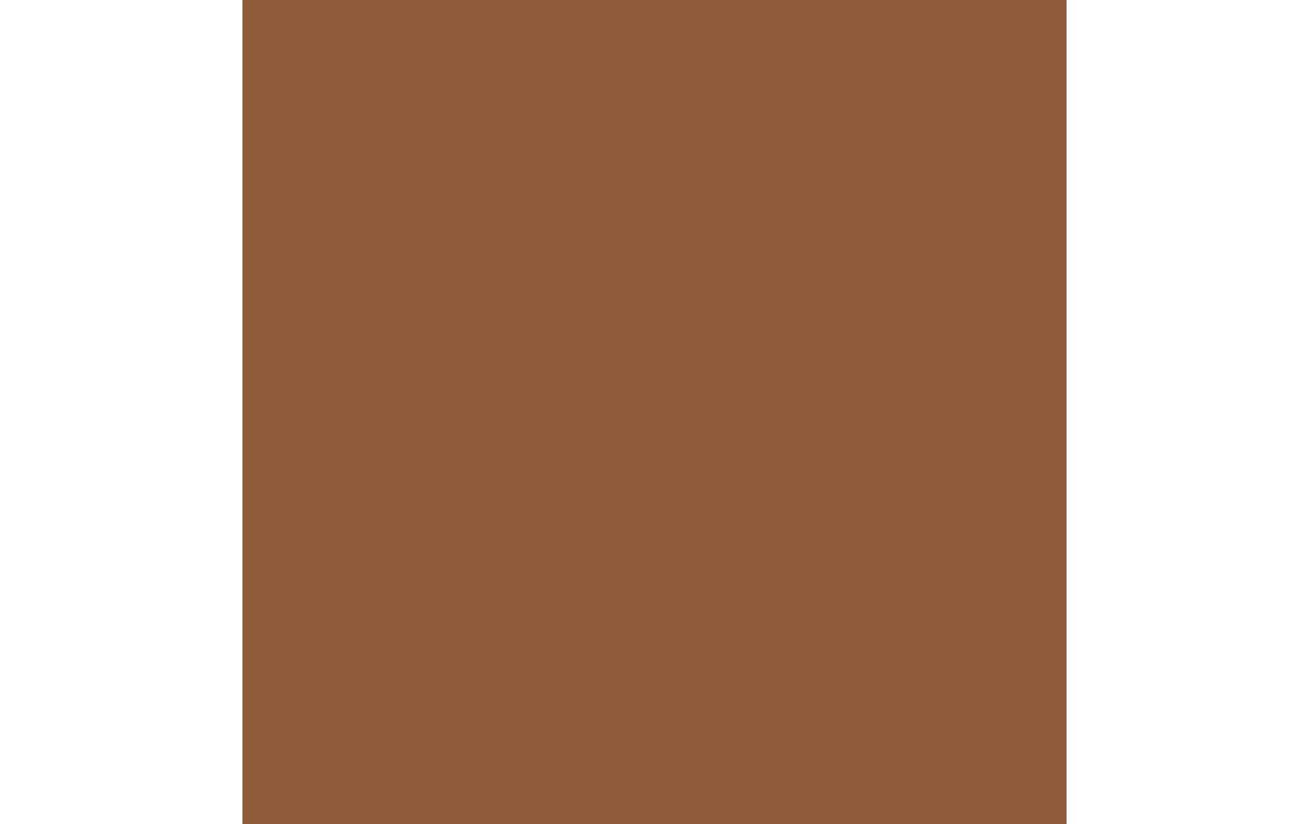 Royal Talens Amsterdam – Acryl Standard – Acrylfarbe – Siena Natur, 120 ml