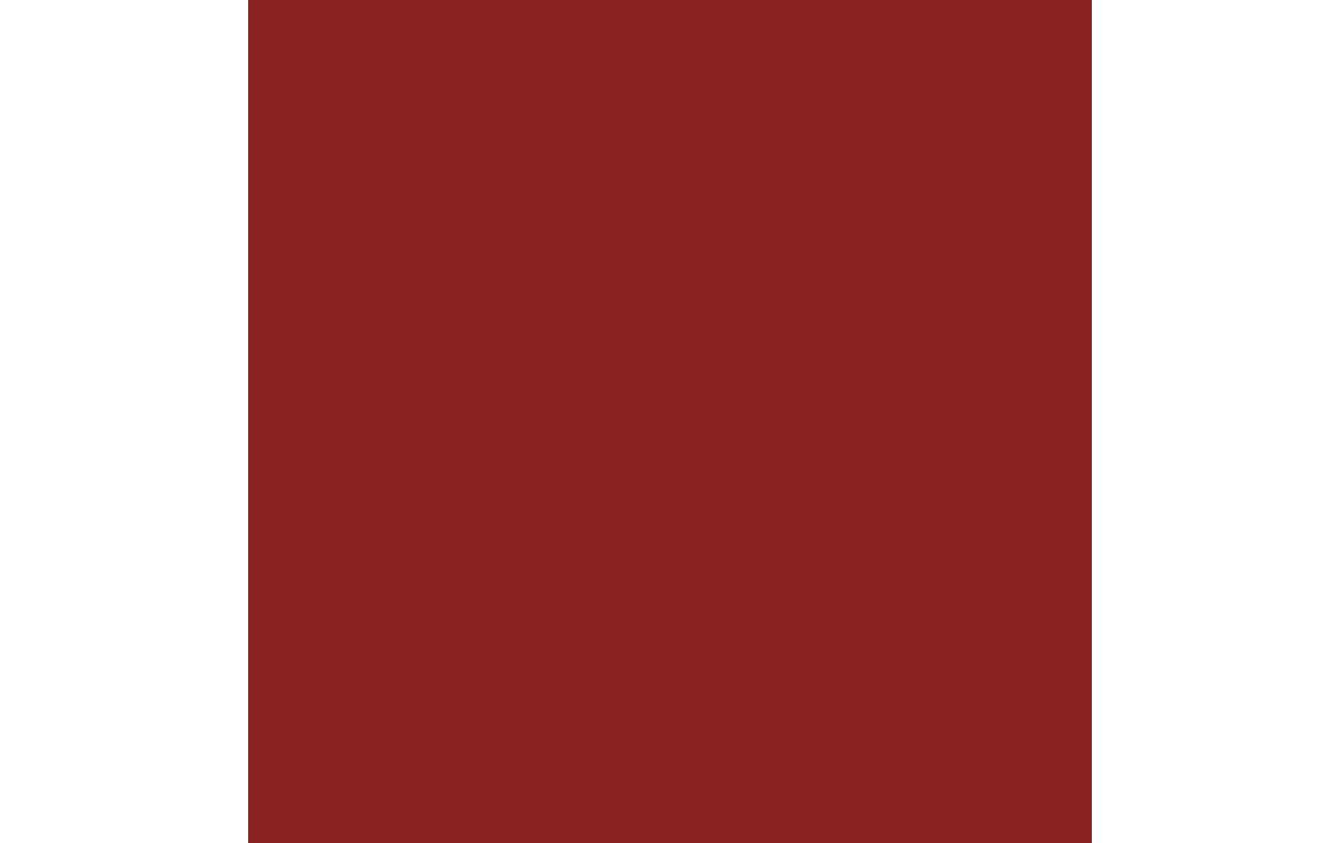 Royal Talens Amsterdam – Acryl Standard – Acrylfarbe – Siena Gebrannt, 120 ml