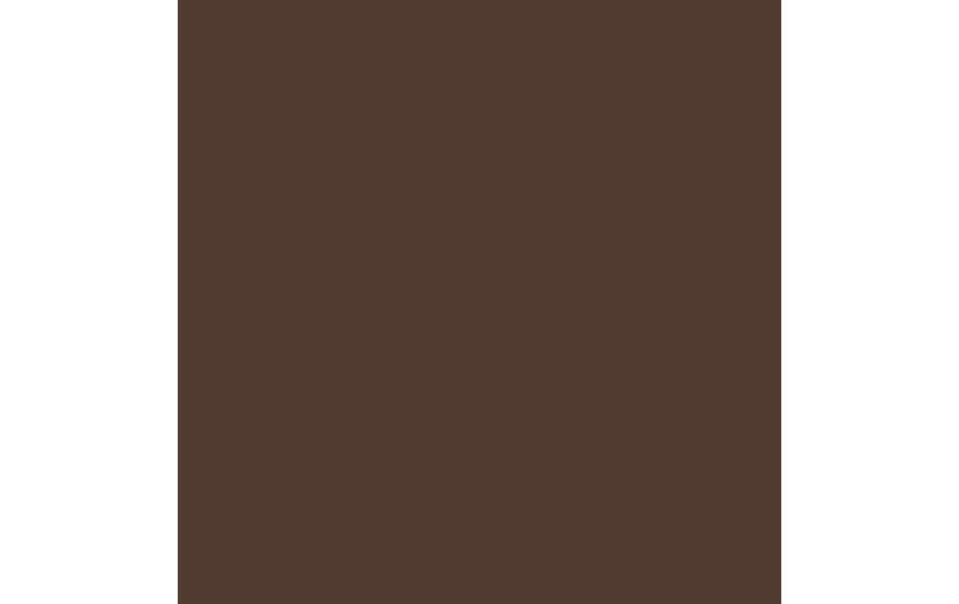 Royal Talens Amsterdam – Acrylic Standard – Acrylfarbe – Gebrannte Umbra, 500 ml