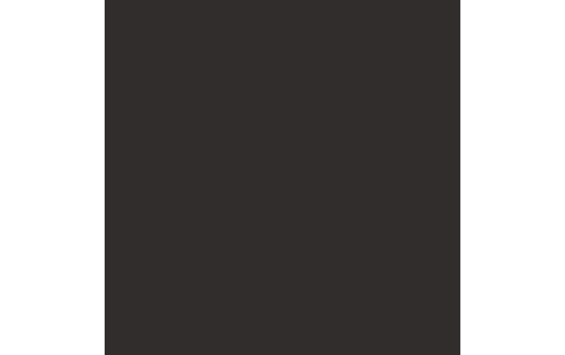Royal Talens AMSTERDAM Standard Acrylfarbe – Schwarz (Lampenschwarz) – 500 ml