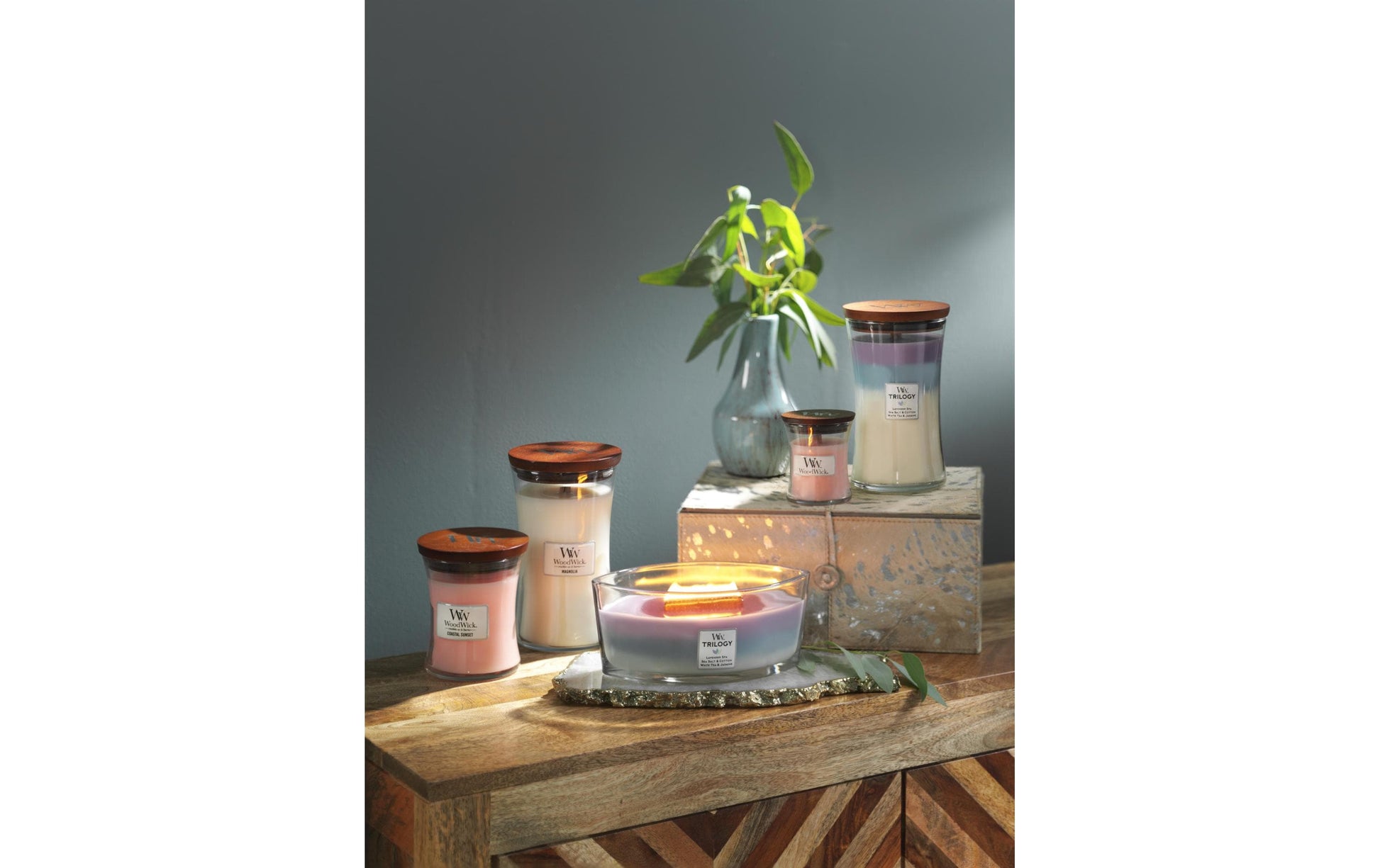 WoodWick Duftkerze – Lavendel – Ø 10,2 × 17,8 cm