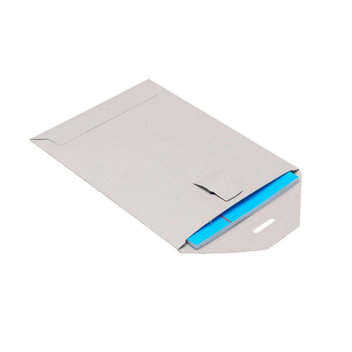 Brieger Karton-Versandtasche – 250 × 344 mm, Zunge, Karton, Grau, für Inhalt 213 × 298 mm – 1 Stk.