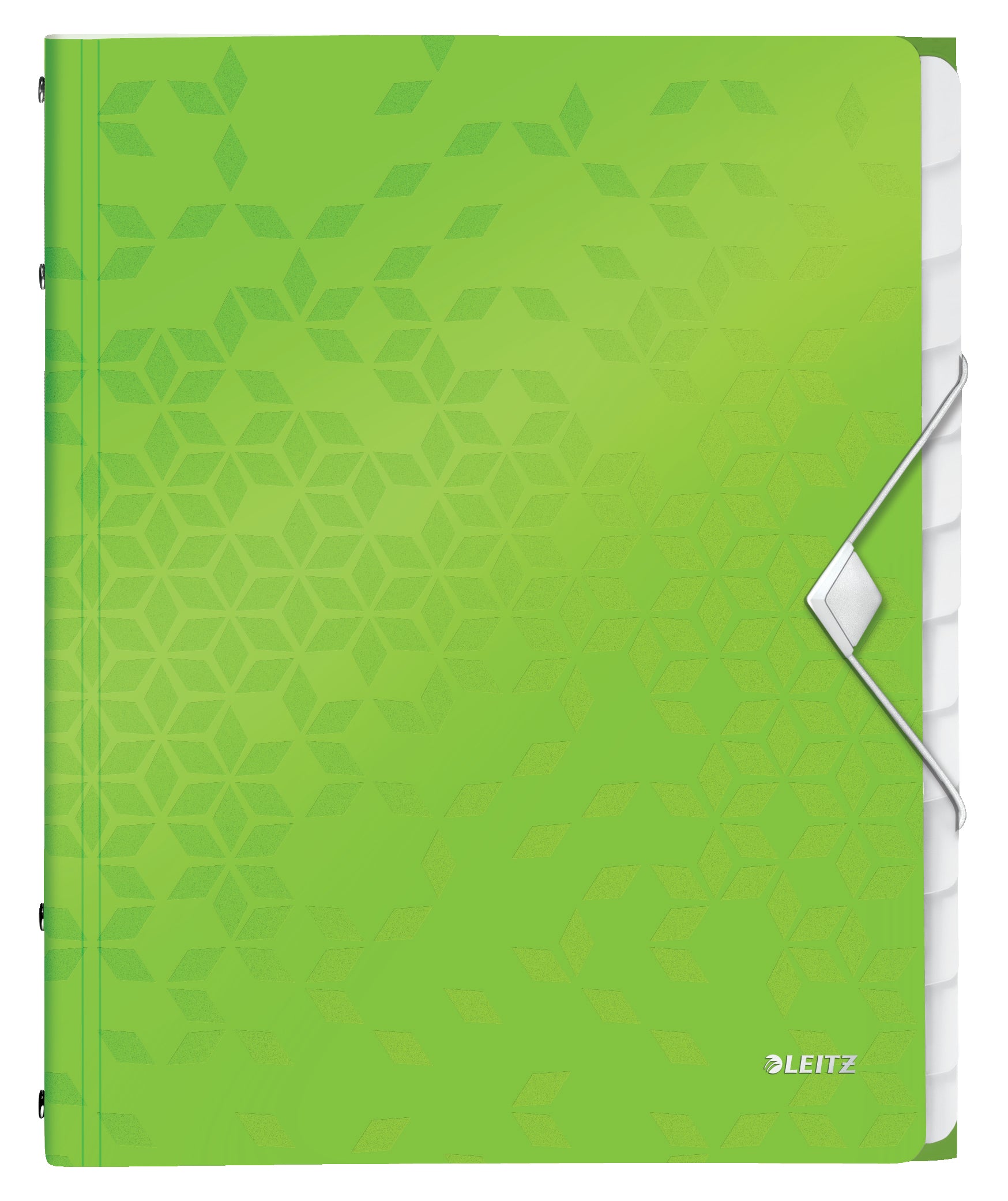 Leitz Sammelmappe für A4, Kunststoff, grün