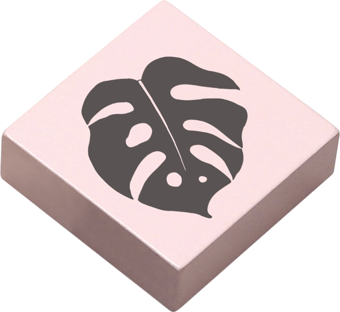 Colop May & Berry – Motivstempel, Holz, Motiv Palmblatt, Abdruck 45 × 45 mm, nude