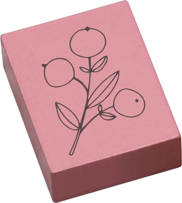 Colop Stempel May & Berry, Beerenzweig, Buchenholz/Naturgummi, Rosa, 3,5 × 4,5 cm