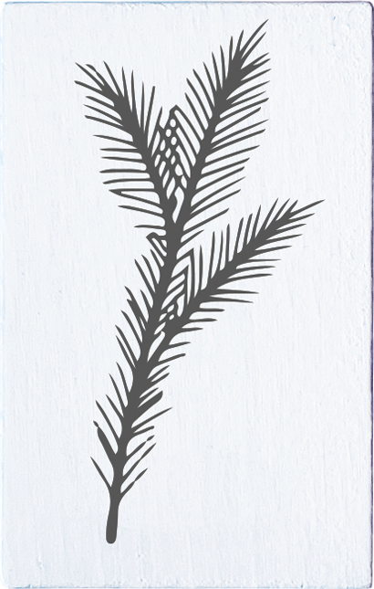 Colop Motivstempel – Tannenzweige, May & Berry – Buchenholz, Naturgummi – 35 × 55 mm