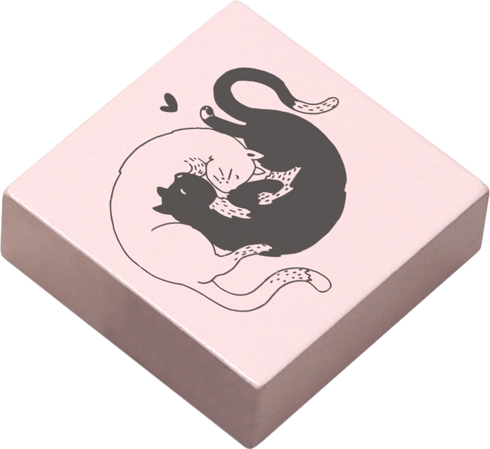 Colop Motivstempel – May & Berry Katzen – Holz – 45 × 45 mm – Nude