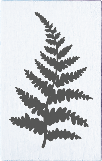 Colop Stempel – May & Berry Farnzweig – Buchenholz, Naturgummi – 35 × 55 mm – Weiss