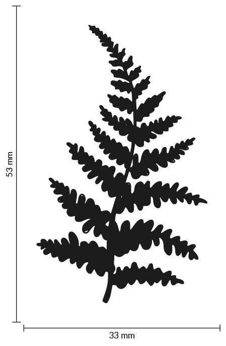 Colop Stempel – May & Berry Farnzweig – Buchenholz, Naturgummi – 35 × 55 mm – Weiss