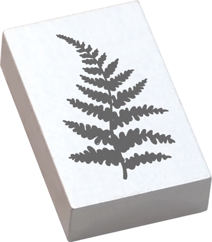 Colop Stempel – May & Berry Farnzweig – Buchenholz, Naturgummi – 35 × 55 mm – Weiss