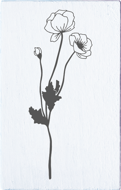 Colop May & Berry – Motivstempel, Holz, Mohnblumenmotiv, Abdruck 35 × 55 mm, Weiss