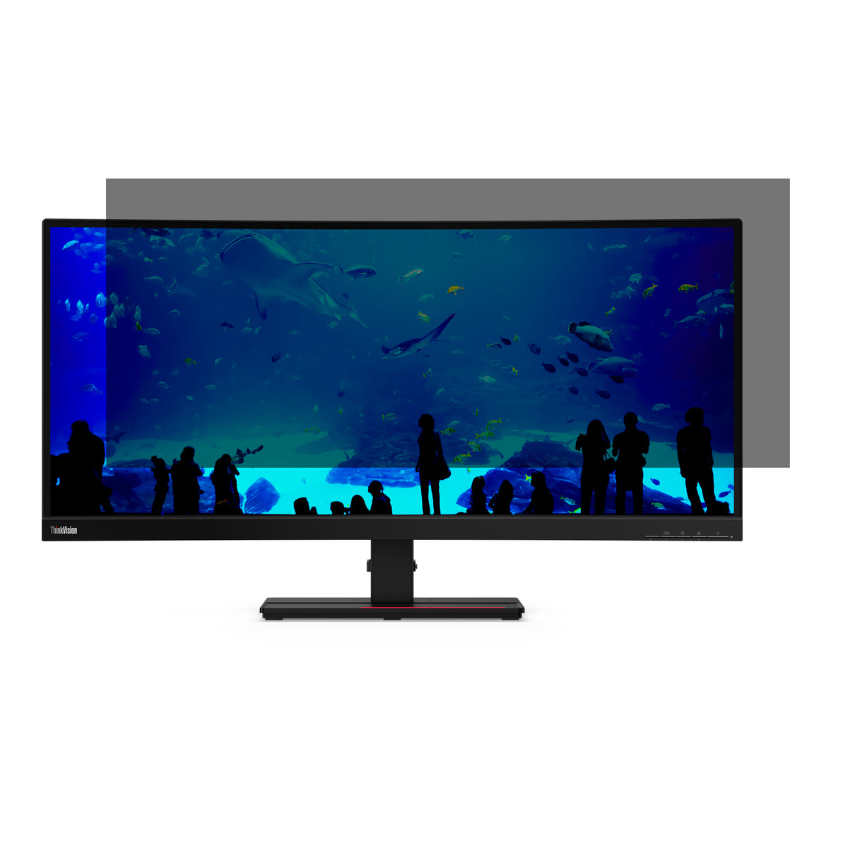 Lenovo Blickschutzfilter für ThinkVision T34W-20/30/40 34,0", 21:9 – 847 × 434 mm