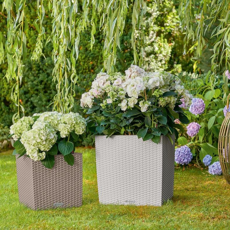 LECHUZA CUBE Cottage 40 Pflanzgefäss – 39 × 39 × 70 cm – Kunststoff, grau
