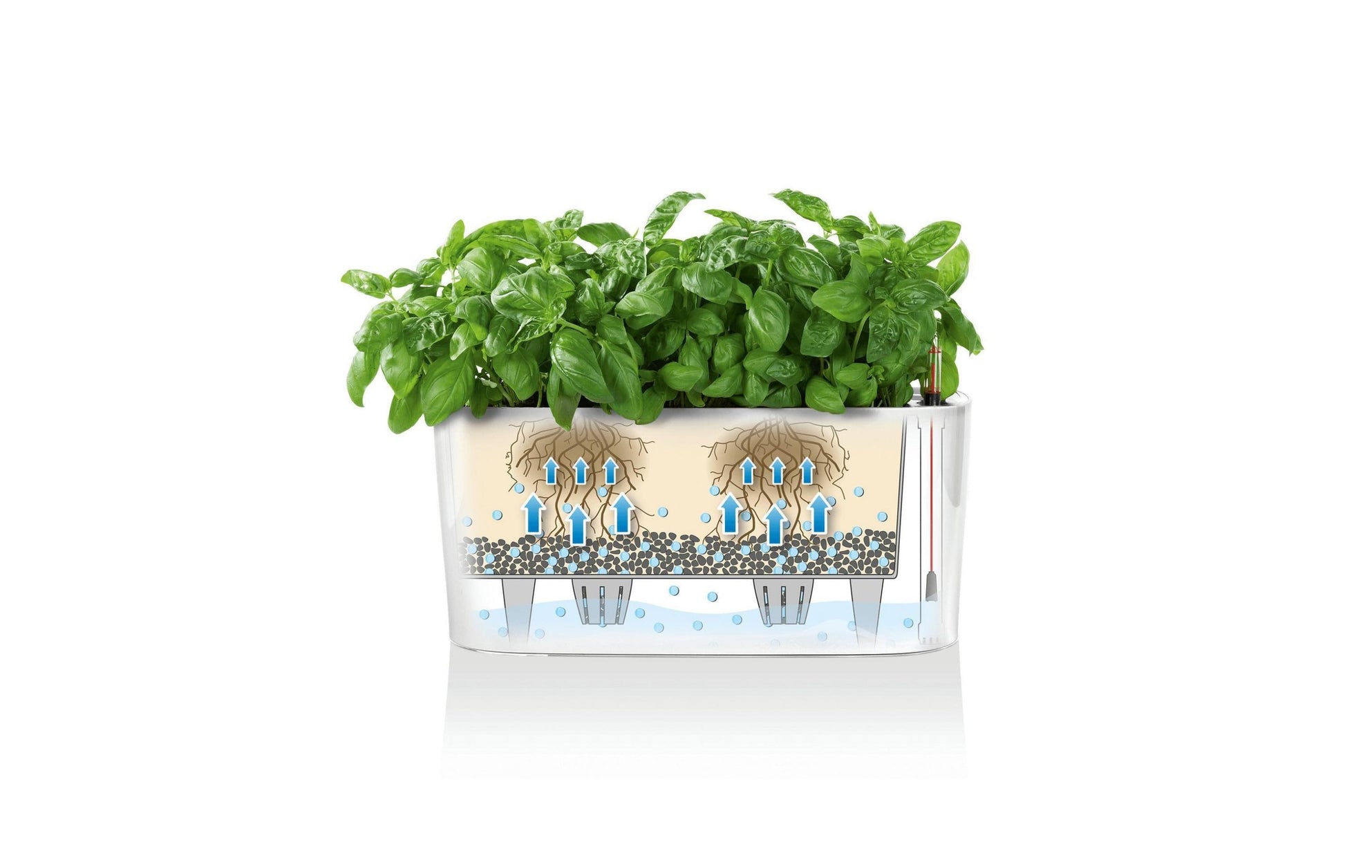 LECHUZA Pflanzgefäss – 30 × 13 × 11 cm – Polycarbonat & Polypropylen, Anthrazit