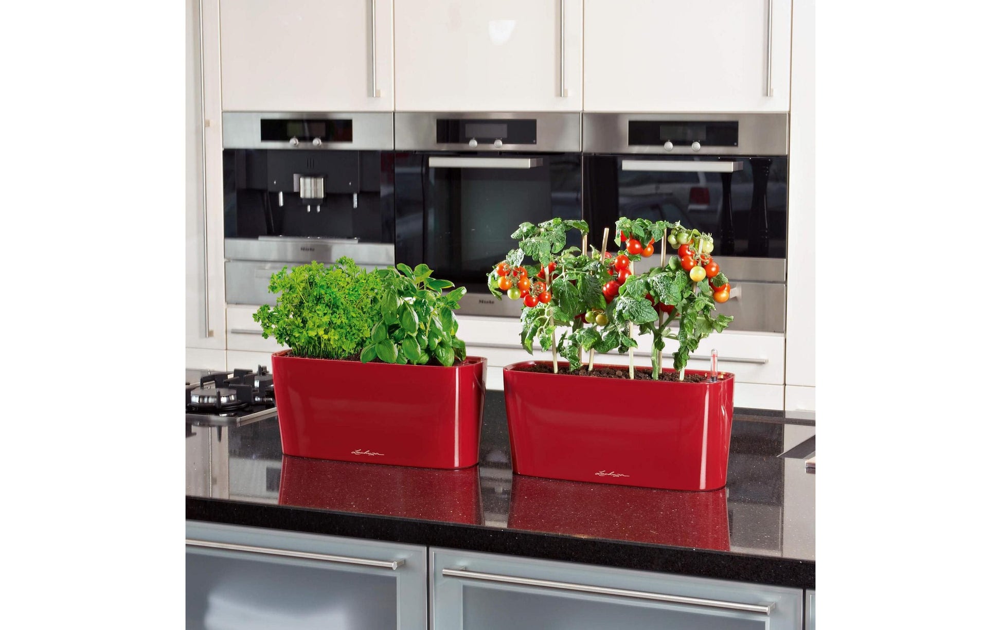LECHUZA Pflanzgefäss – 5 l, 40 × 18 × 15 cm – Polypropylen & Kunststoff, Rot