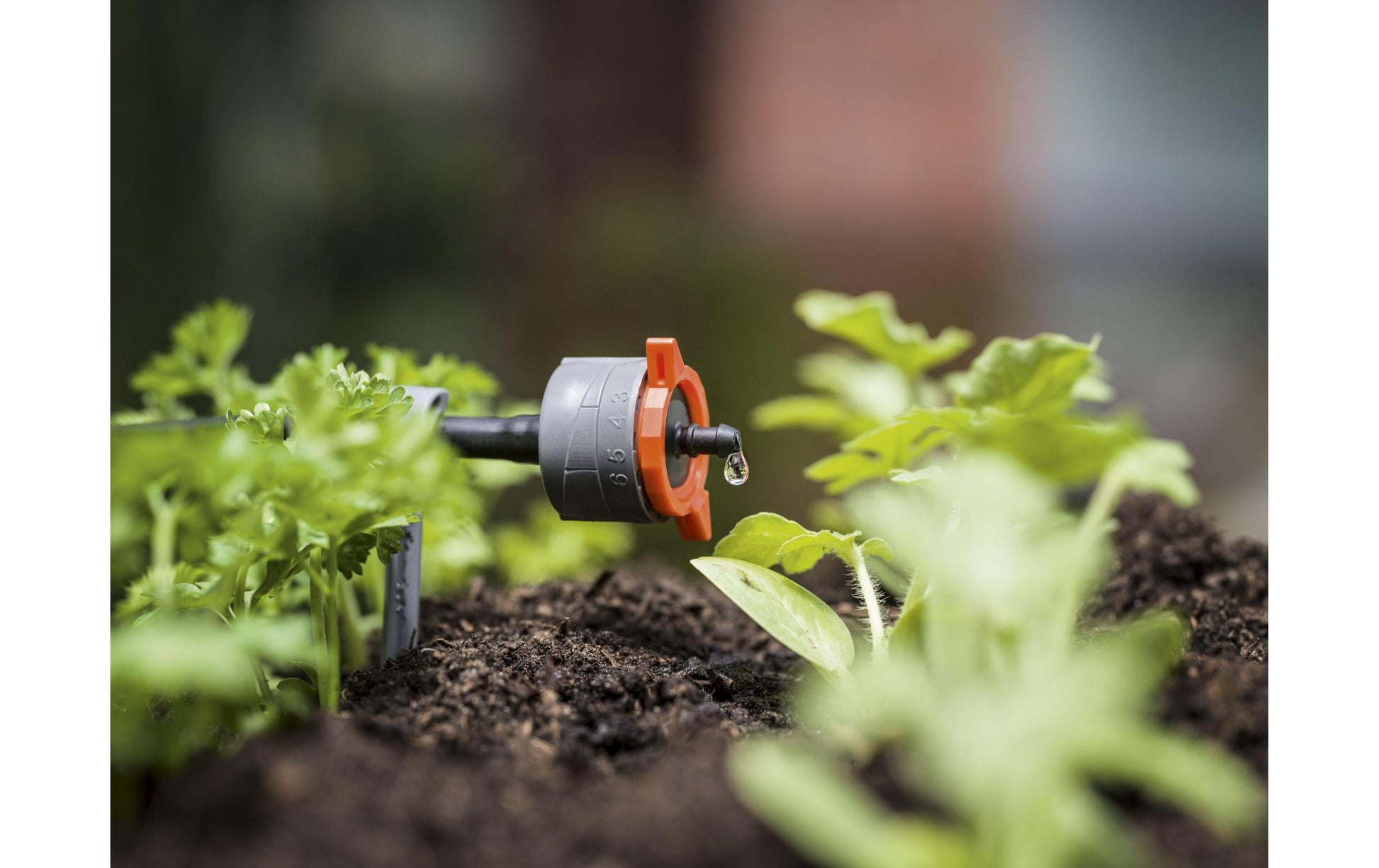 Gardena Start-Set (Micro-Drip-System) – Schlauch 15 m, Schwarz, für Pflanzreihen S